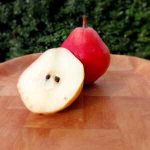 Poirier - William's rouge / Kyrshensaller scion